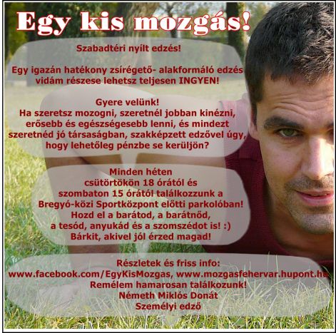 egykismozgas2011.jpg